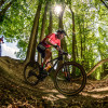 Aaron Borrill's picture
