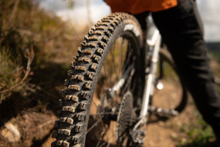 2022 Goodyear Newton MTR hero 2.jpg 2022 Goodyear Newton MTR hero 2.jpg