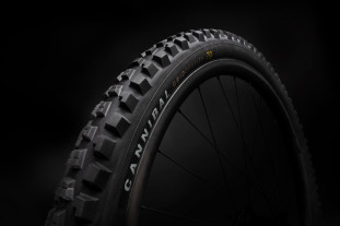 2022 Specialized Cannibal tyre side.jpeg 2022 Specialized Cannibal tyre side.jpeg
