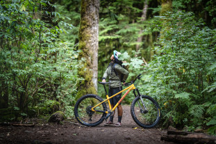 2022 santa cruz chameleon hero.jpg 2022 santa cruz chameleon hero.jpg