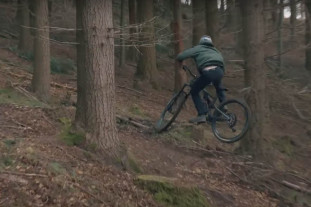 2022 stumpy shreds cover.jpg 2022 stumpy shreds cover.jpg