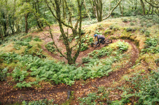 2024 ex enduro3.jpg 2024 ex enduro3.jpg