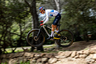 2024 pinarello dogma riding.jpg 2024 pinarello dogma riding.jpg