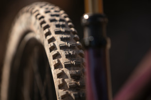 2024 pivot trailcat rear tyre.jpg 2024 pivot trailcat rear tyre.jpg