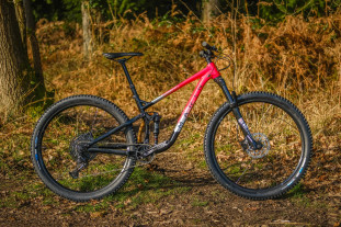 Marin Rift Zone 2 detail -1.jpg Marin Rift Zone 2 detail -1.jpg