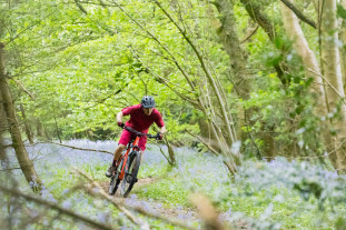 Singletrack riding Singletrack riding