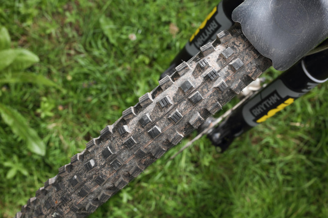 2020 Schwalbe Magic Mary top angle.jpg