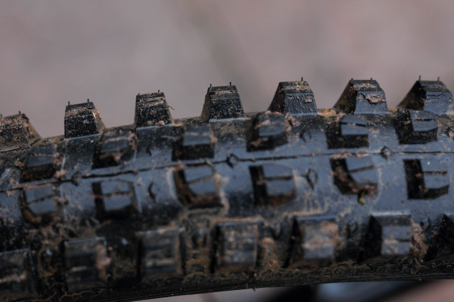 2020 wtb verdict wet  shoulder knobs.jpg