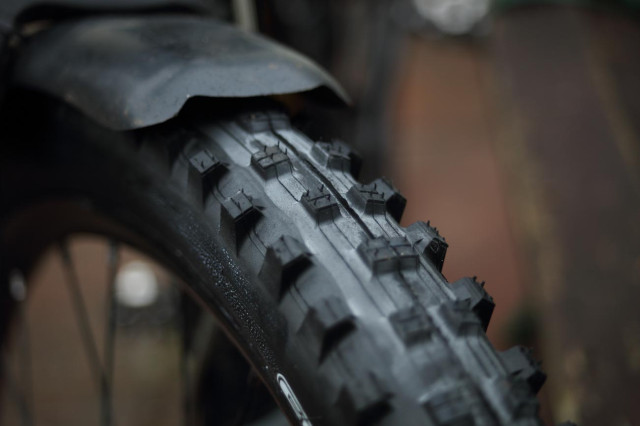 2021 maxxis shorty hero.jpg