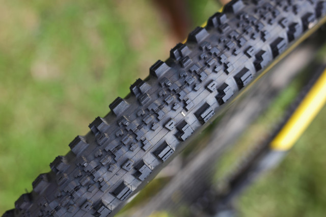 maxxis minion ss dd angle.jpg