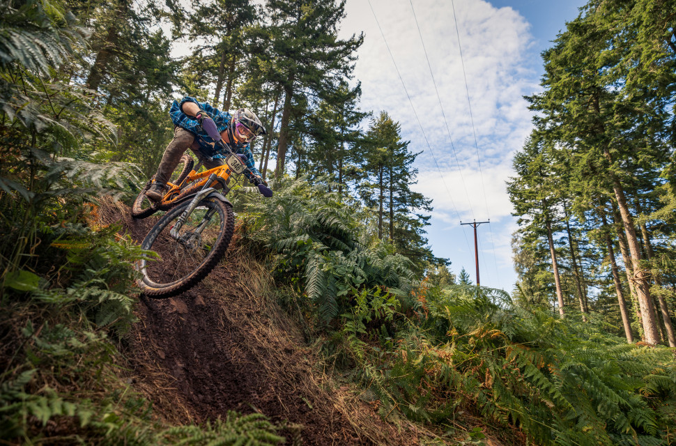 02701_SouthernChamps_Minehead_Aug23-Enhanced-NR.jpg