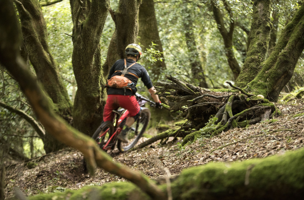 0L1A5322d.jpg Getting fit for enduro pt2: Finding the training groove