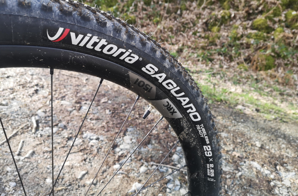 2021 Vittoria Saguaro Main.jpg 2021 Vittoria Saguaro Main.jpg