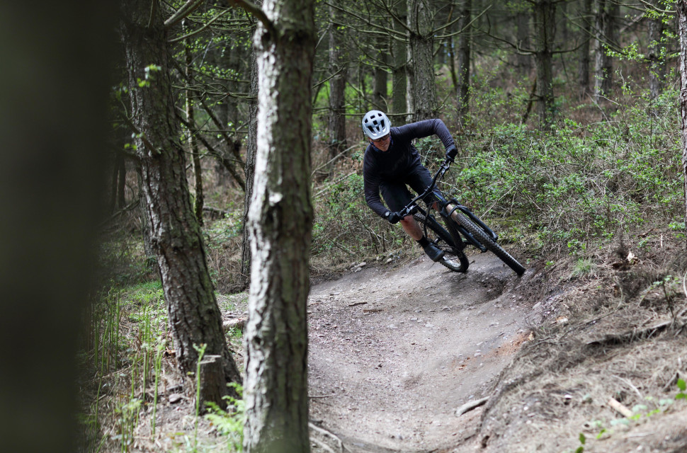 2021 cannock chase corner.jpg Cannock Chase
