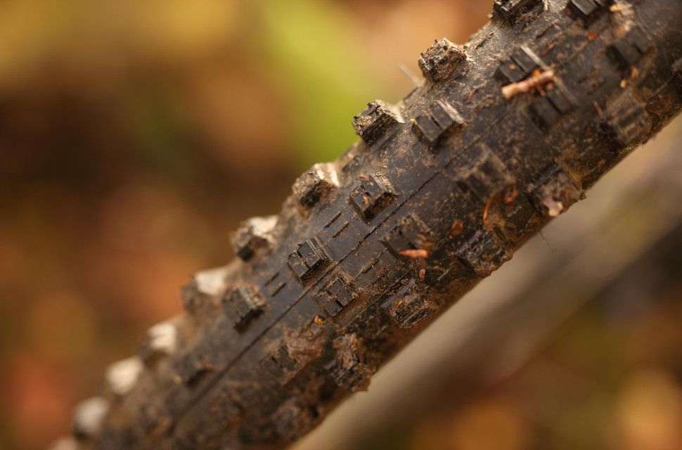 2021 maxxis shorty gen 2 shoulder knob.jpg Mountain bike mud tyres - everything you need to know