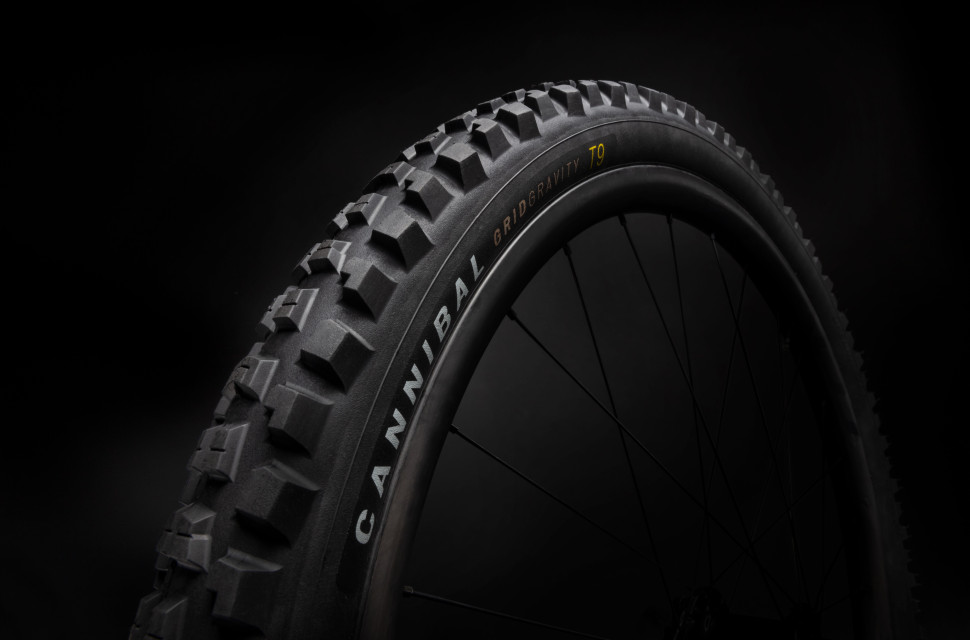 2022 Specialized Cannibal tyre side.jpeg Specialized drops a redeveloped Cannibal tyre