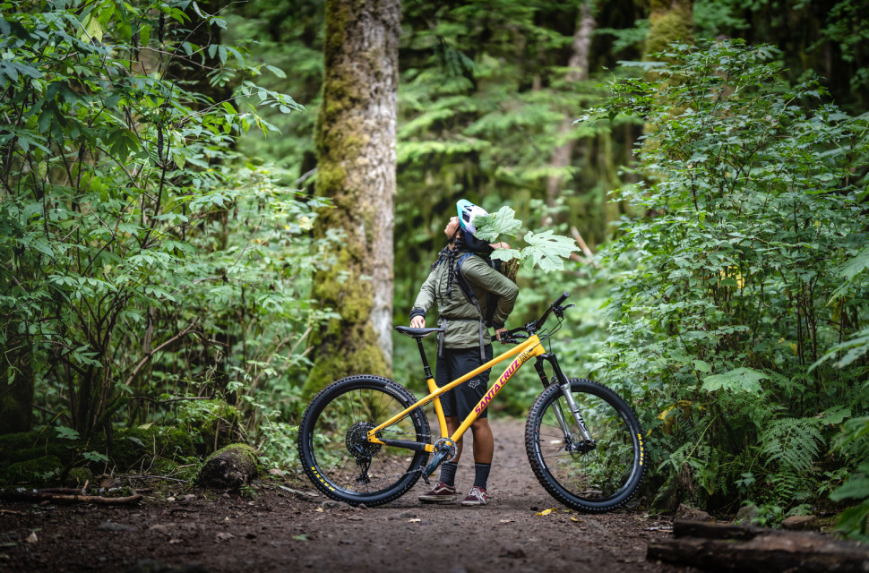 2022 santa cruz chameleon hero.jpg Best hardtail mountain bikes 2025 - great hardtails for every budget