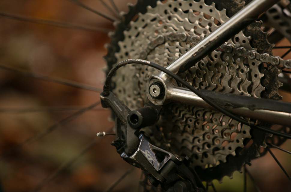 2023 starling roost dropout.jpg Bicycle dropouts - every standard explained