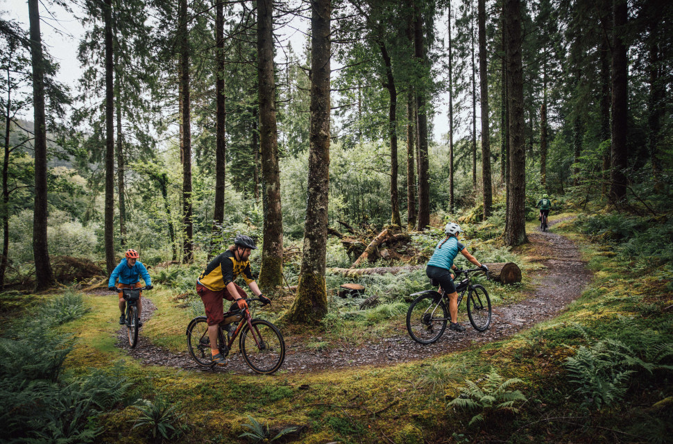 2024 coed y brennin grav 3.jpg Coed y Brenin opens six gravel-specific cycle routes from 9.5 to 36km