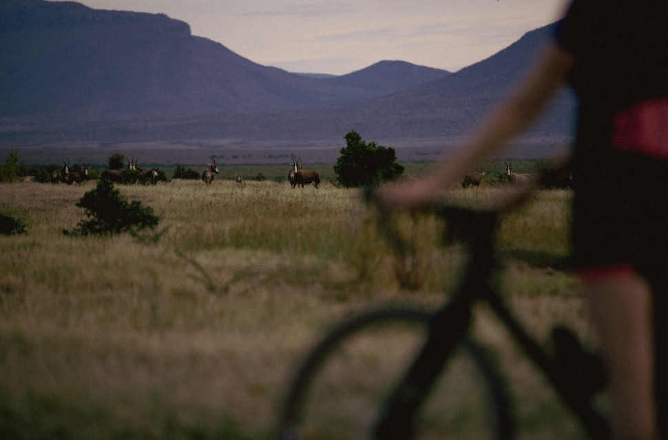 2022 Great Karoo Escape hero The Great Karoo Escape - a South African twist on the gravel riding recipe