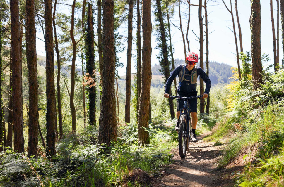 Cwmcarn-MTB-trail-guide-Decathon-112.jpg Cwmcarn