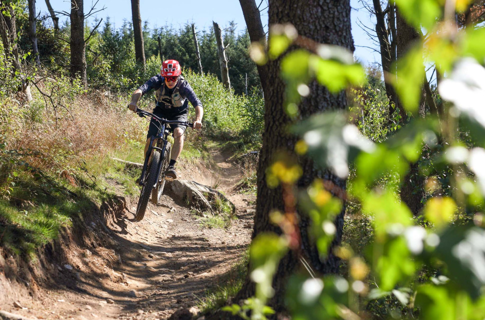 Cwmcarn-MTB-trail-guide-Decathon-127.jpg Decathlon Route: Cwmcarn