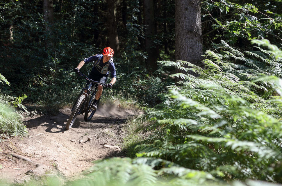Eastridge Trail Guide-107.jpg Eastridge Woods