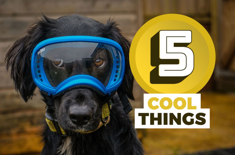 FiveCool3header.jpg 5 cool things from RexSpecs, Madison, Leatt, Oxford and Bontrager