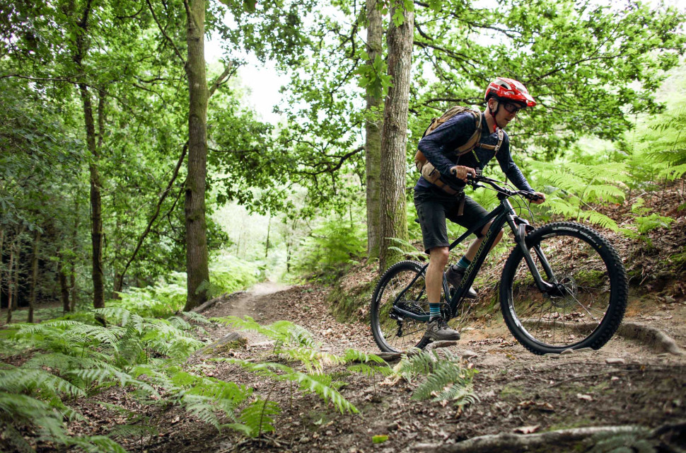 Forest of Dean Trail Guide-105.jpg Forest of Dean Trail Guide-105.jpg