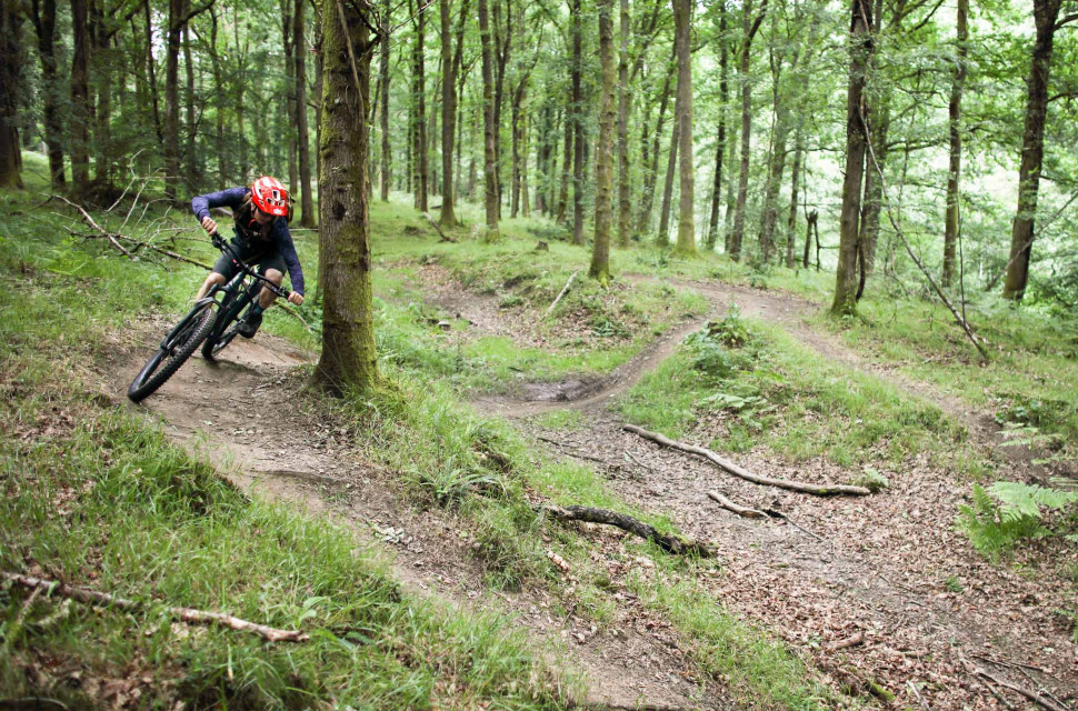 Forest of Dean Trail Guide-109.jpg Decathlon Route: Forest of Dean