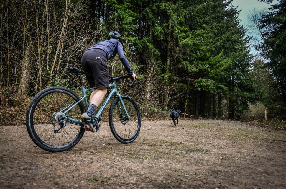 Giant Revolt 1 Riding 4.jpg Best gravel bikes under £1,500 in 2024 - drop-bar machines that won't break the bank