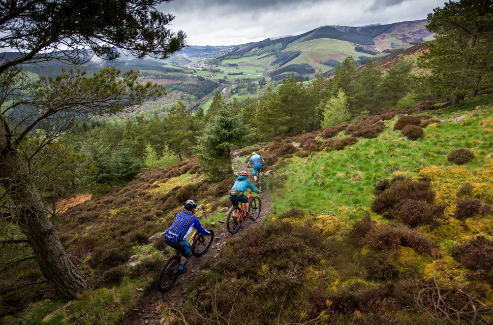 Hi_Def_trail_Thornilee.jpg Tweedlove events boss calls for world’s first national park for cycling