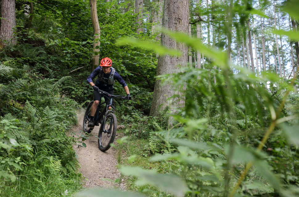 Hopton Trail Guide-103.jpg Hopton Woods