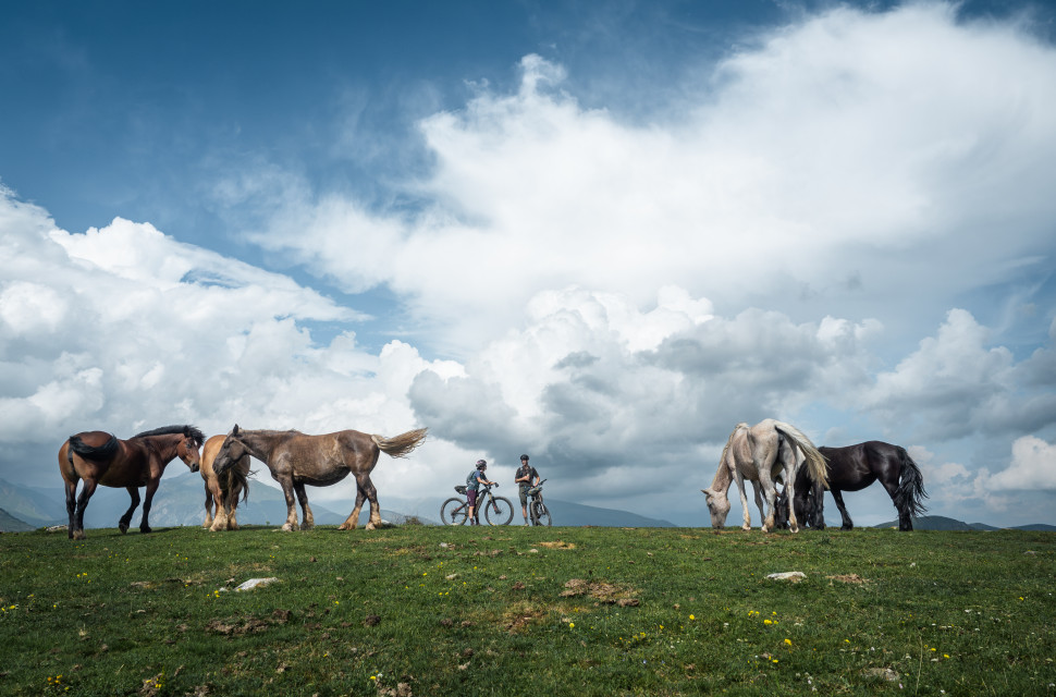 Melting heights Video: Melting Heights – a climate-change e-bike adventure