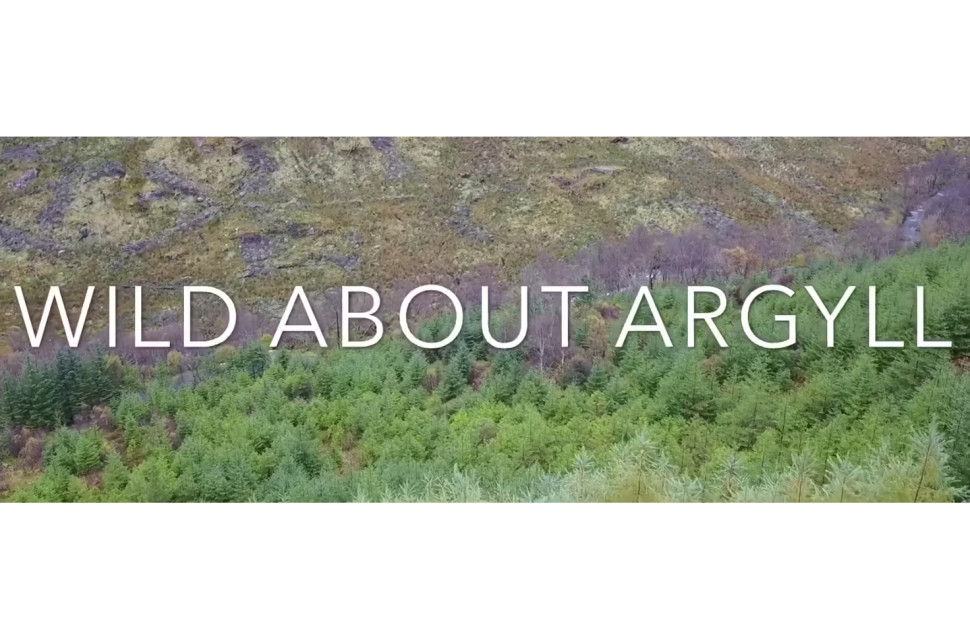 Video: Wild About Argyll with Markus Stitz.jpg Video: Wild About Argyll with Markus Stitz