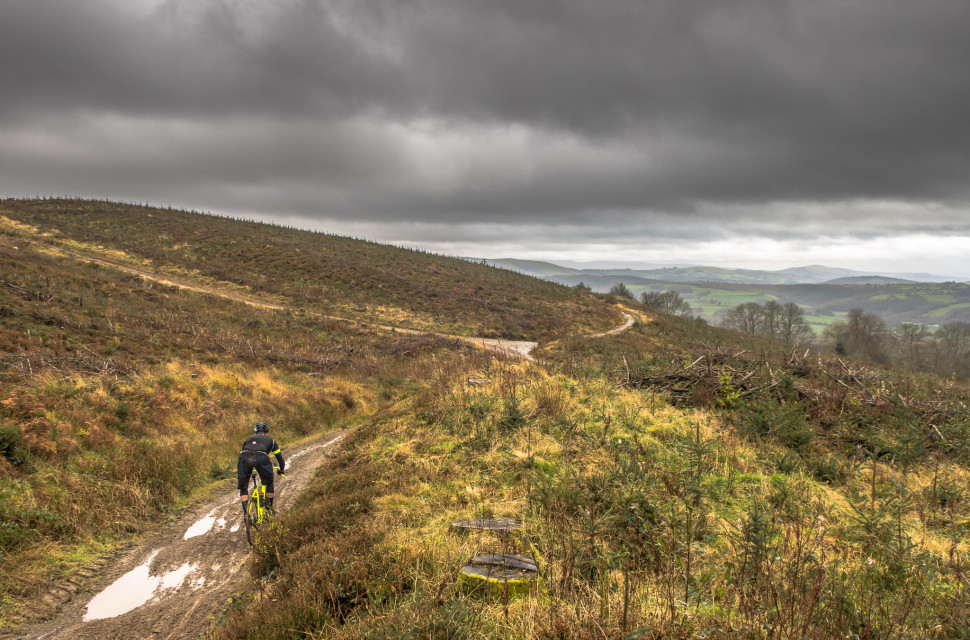 gravel bikes (17 of 21).jpg New two-day Gritfest gravel enduro race announced