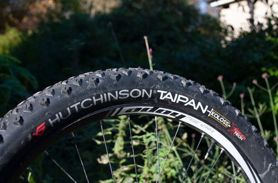 hutchinson-taipan-koloss-2.jpg hutchinson-taipan-koloss-2.jpg
