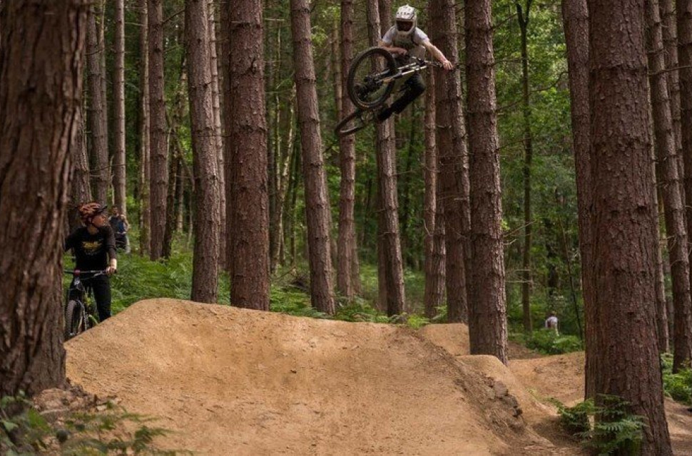 wharncliffe.jpg Wharncliffe woods trails flattened by Forestry Commission