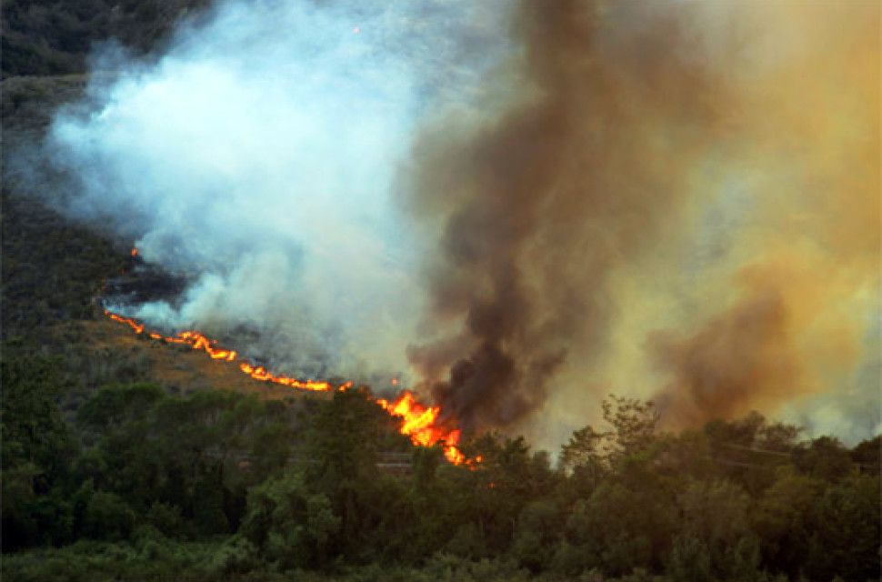 wildfire.jpg Forest fires hit Cwmcarn trail centre in South Wales